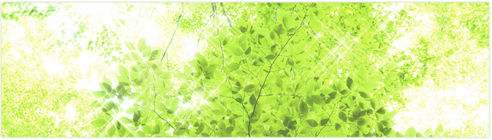 和の樹イメージ